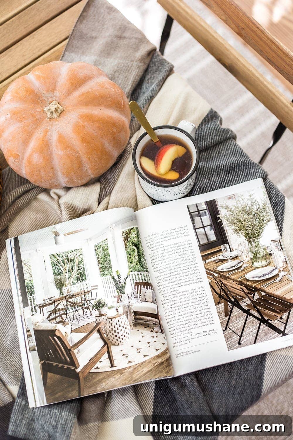 Southern Cottage Magazine Spread: Charming Home Decor Ideas 4 Light-filled room with a modern Southern cottage aesthetic