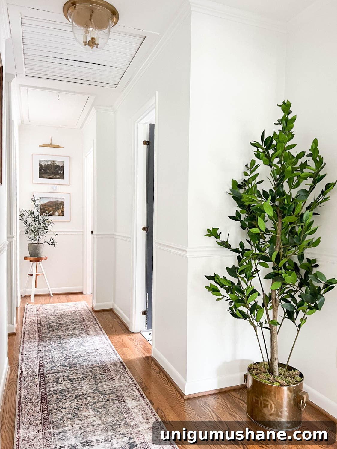 Avoid These Home Decorating Mistakes 7 hallway decor with runner rug and plants