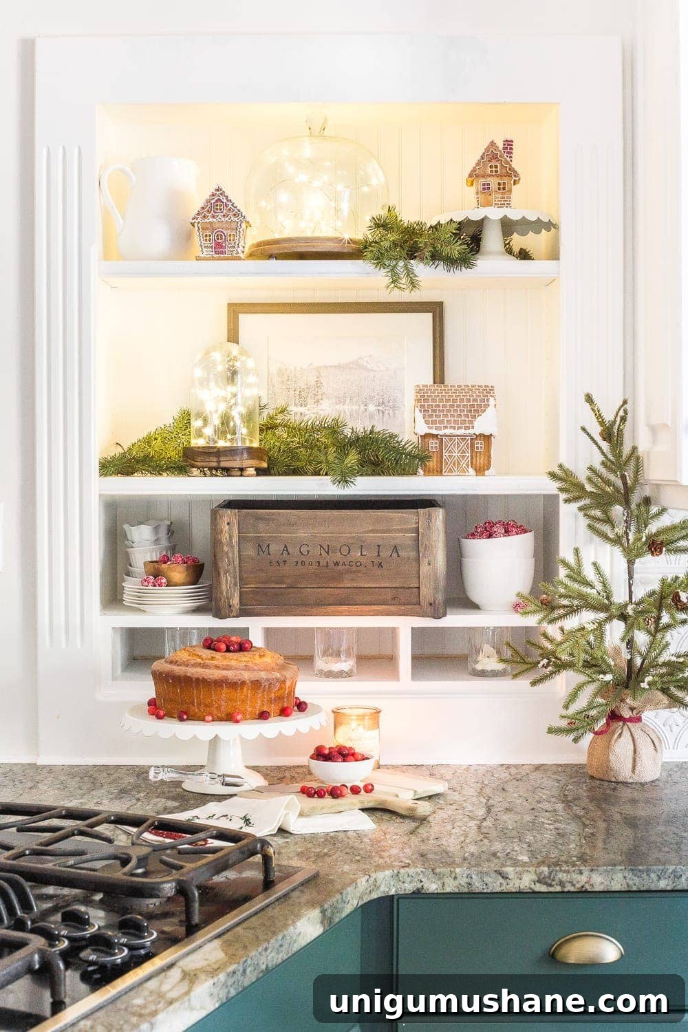 Holiday Housewalk 2018: Explore Stunning Festive Homes 16 img 31494 20