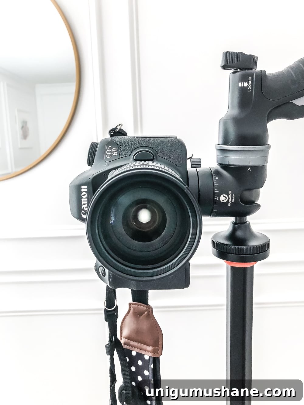20 DIY Family Christmas Photo Ideas to Capture at Home 11 Canon 6D DSLR camera