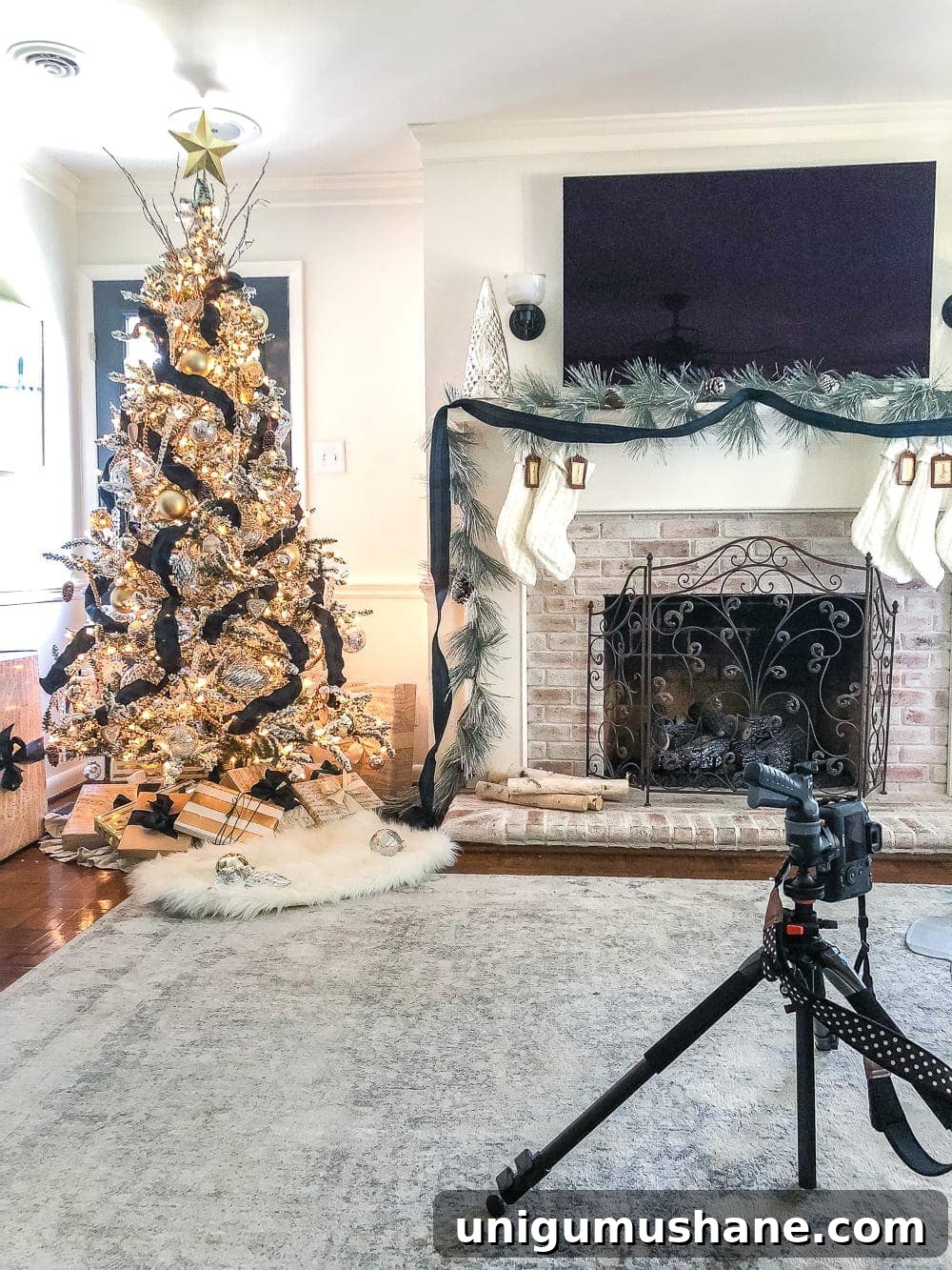 20 DIY Family Christmas Photo Ideas to Capture at Home 5 how to set up your camera for a Christmas family photoshoot in front of a tree
