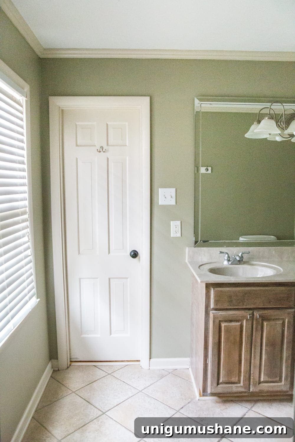 Master Bathroom Remodel Ideas and Mood Board 7 img 31729 6