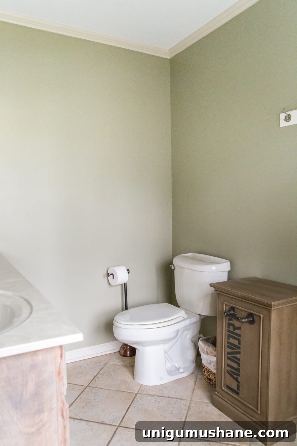 Master Bathroom Remodel Ideas and Mood Board 10 img 31729 9