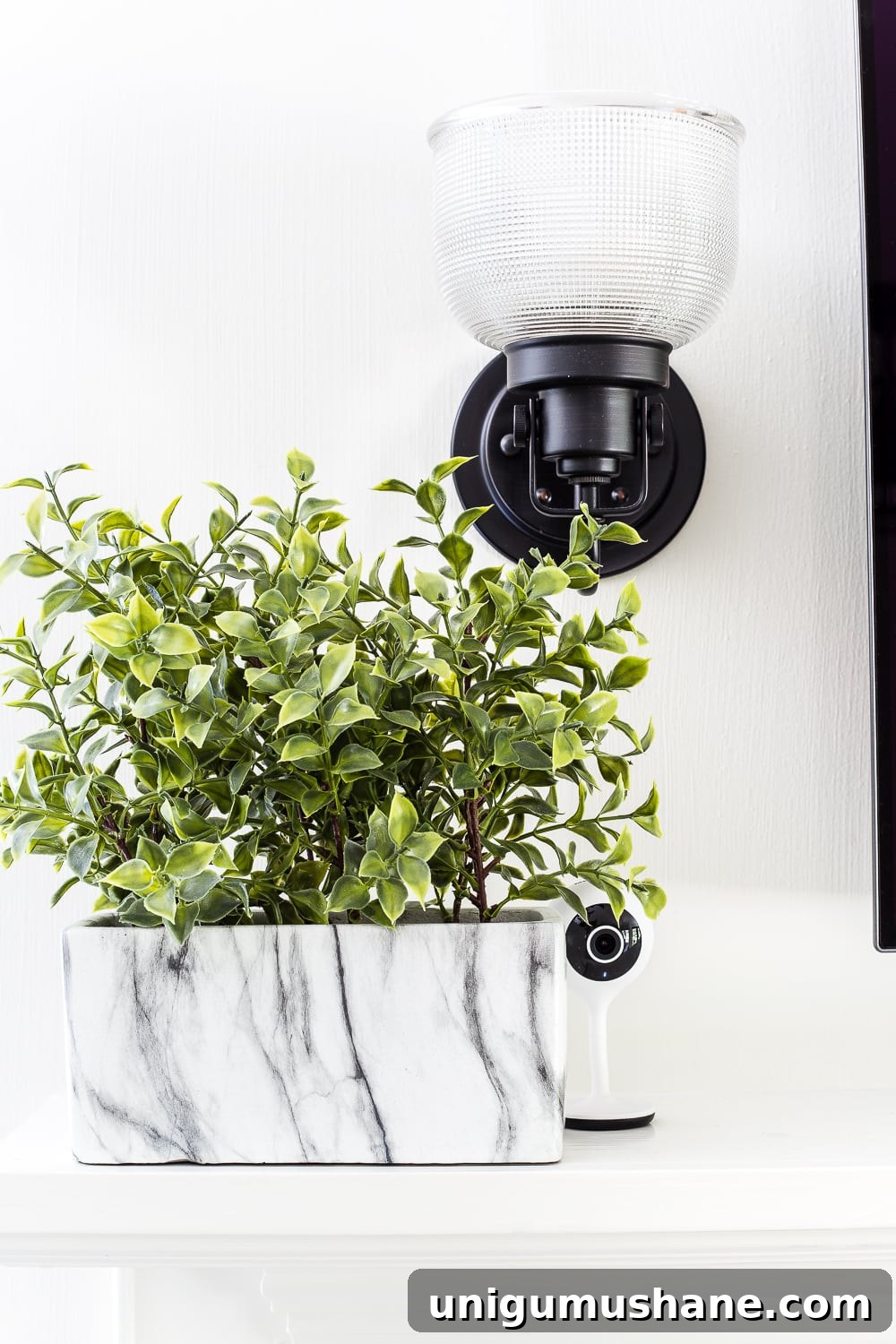 15 Stylish Ways to Hide Household Eyesores 23 Place small electronics, cameras, and routers beside or behind plants.