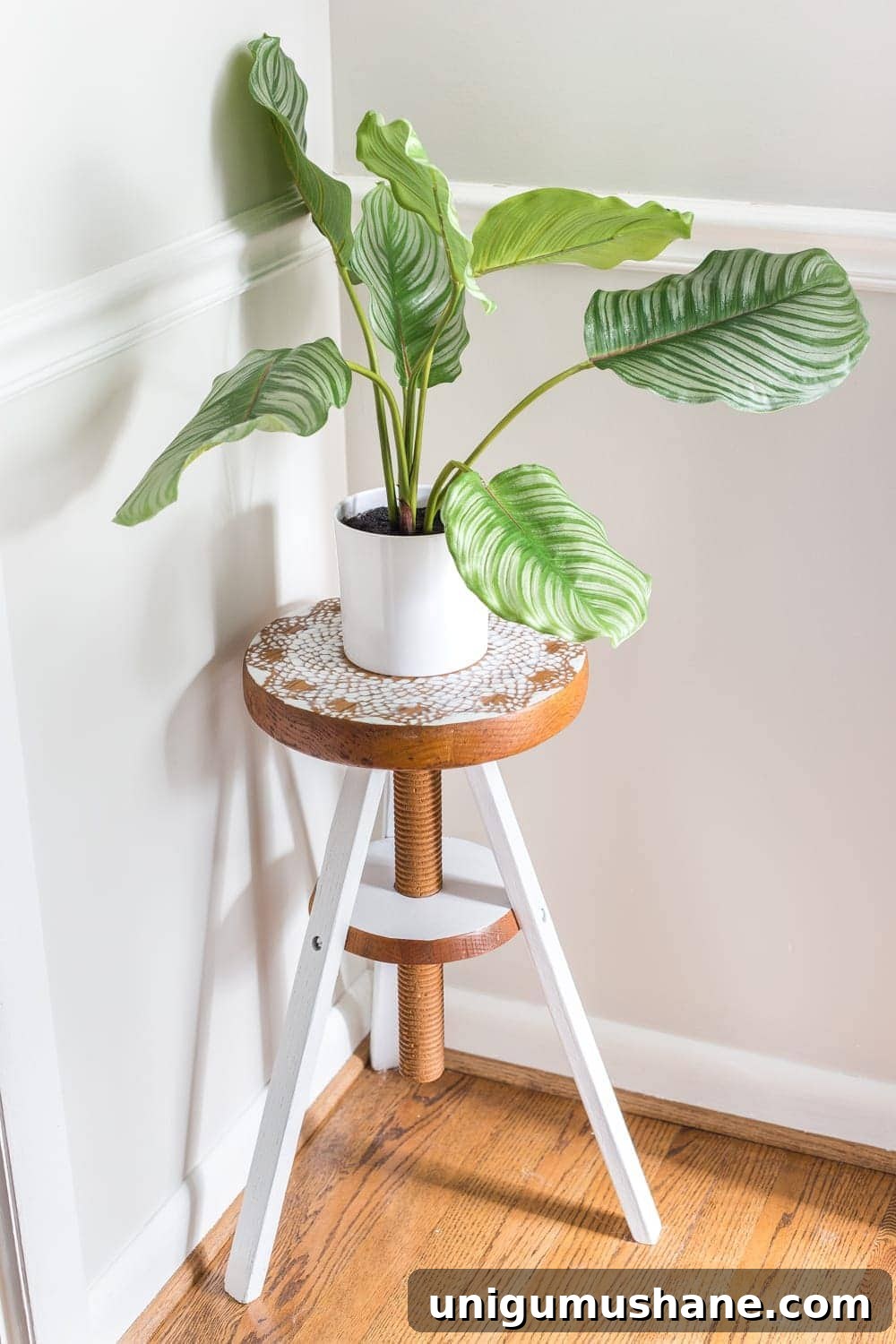 Repurpose a Piano Stool into a Stylish Plant Stand 8 A global designer-inspired DIY plant stand made from a thrifted piano stool using just spray paint and a doily for a quick and easy makeover. #plantstand #pianostool #globaldecor #spraypaint #thriftstoreflips #thrifting #diyhomedecor #thriftedhomedecor