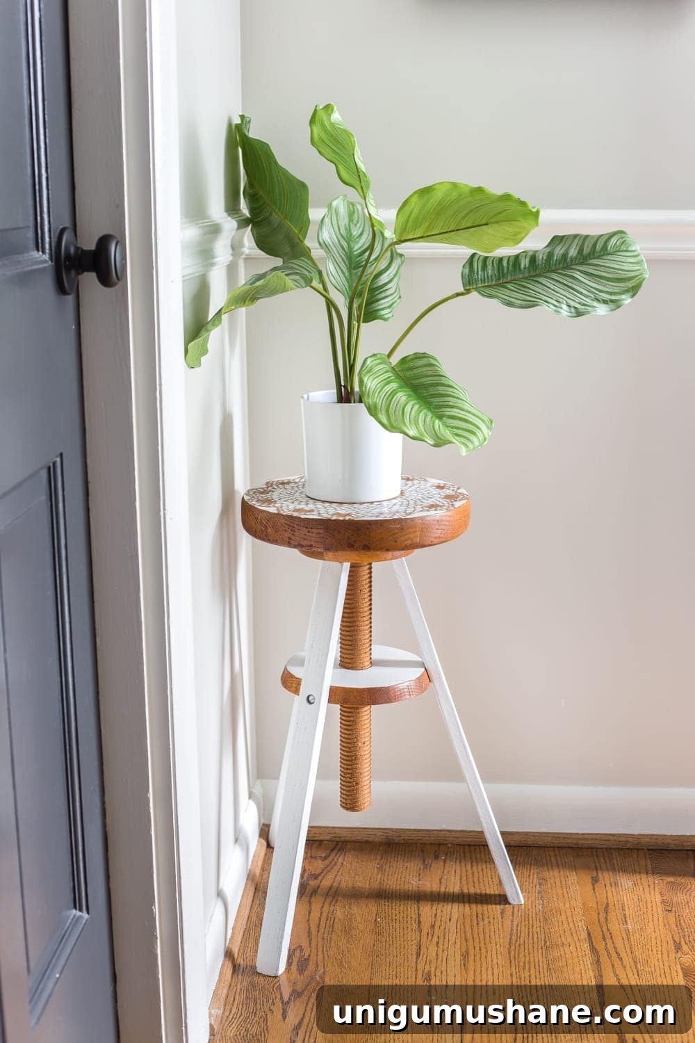 Repurpose a Piano Stool into a Stylish Plant Stand 10 A global designer-inspired DIY plant stand made from a thrifted piano stool using just spray paint and a doily for a quick and easy makeover. #plantstand #pianostool #globaldecor #spraypaint #thriftstoreflips #thrifting #diyhomedecor #thriftedhomedecor