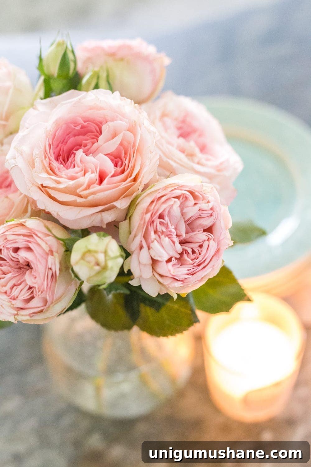 Spring Home Tour: Fresh Decor Ideas for Every Room 6 Simple Spring Home Tour | Blush Cabbage Roses