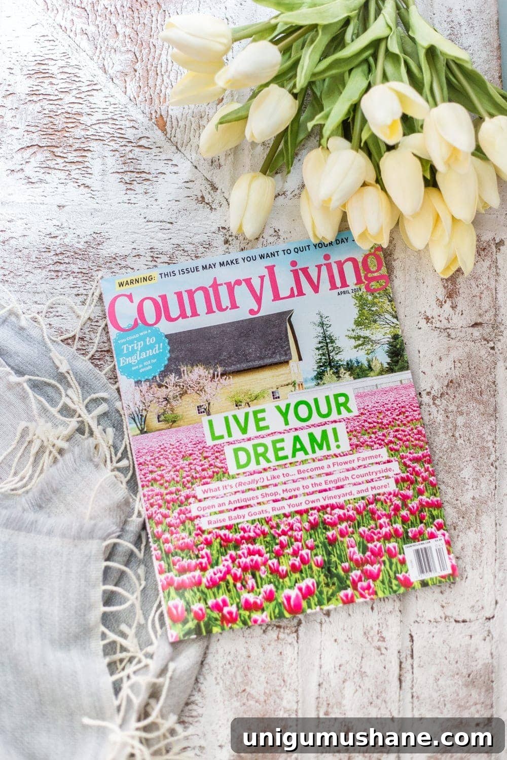 Limewashed Brick FAQ: Country Living Magazine Feature 3 FAQs About Our Limewashed Brick | All of our frequently asked questions about our limewashed brick concerning neighbors' opinions, trends, DIY-ability, and why we chose it over paint. #limewash #brickexterior #limewashedbrick #brickpaint #paintedbrick #exteriormakeover #curbappeal #brickhouse