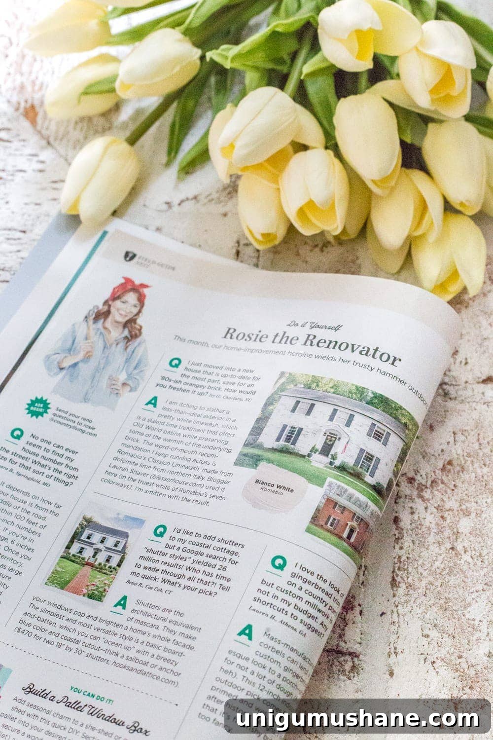 Limewashed Brick FAQ: Country Living Magazine Feature 4 FAQs About Our Limewashed Brick | All of our frequently asked questions about our limewashed brick concerning neighbors' opinions, trends, DIY-ability, and why we chose it over paint. #limewash #brickexterior #limewashedbrick #brickpaint #paintedbrick #exteriormakeover #curbappeal #brickhouse