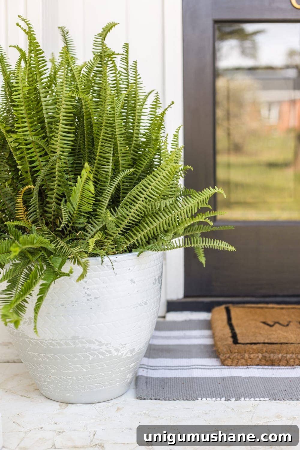 6 Ways to Refresh Your Front Porch for Spring | Tips for sprucing up your front porch to bring it out of winter's hibernation mode and wake it up for spring. #springporch #frontporch #porchstoop #porchdecor #porchdecorating
