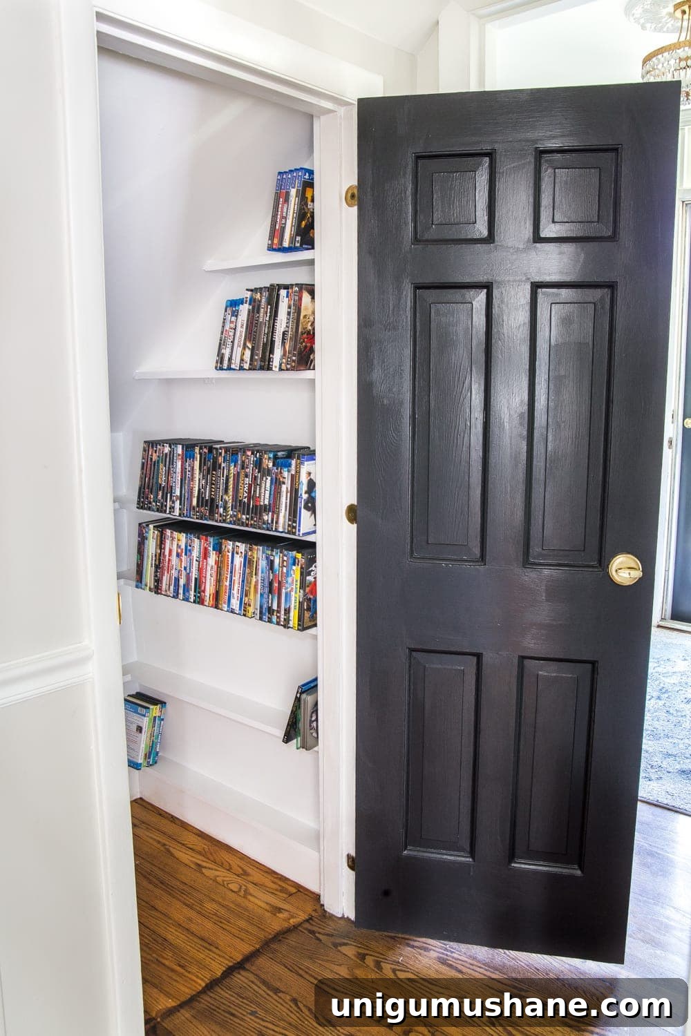 Build a DIY DVD Closet for Compact Media Storage 2 DIY DVD Storage Closet Under the Stairs