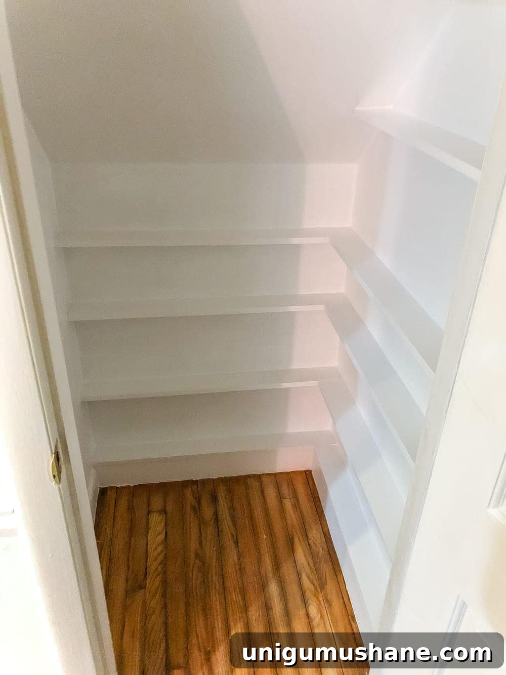 Build a DIY DVD Closet for Compact Media Storage 9 DIY DVD Storage Closet