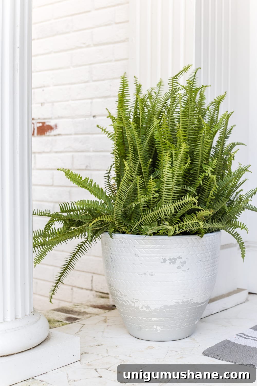 How to Distress Any Item With One Simple Trick 8 How to Distress Anything With 1 Simple Trick | Pottery Barn look-alike Tuscan style weathered planters using just spray paint
