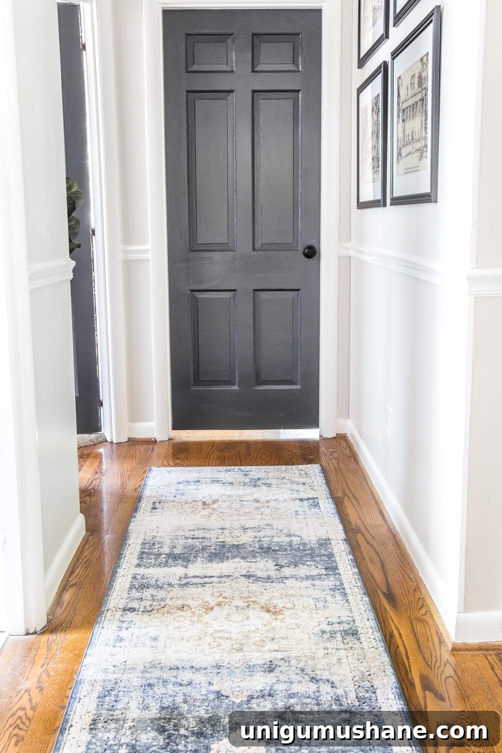 Transform Your Narrow Hallway with Stylish Decor 12 dark charcoal doors and hallway runner