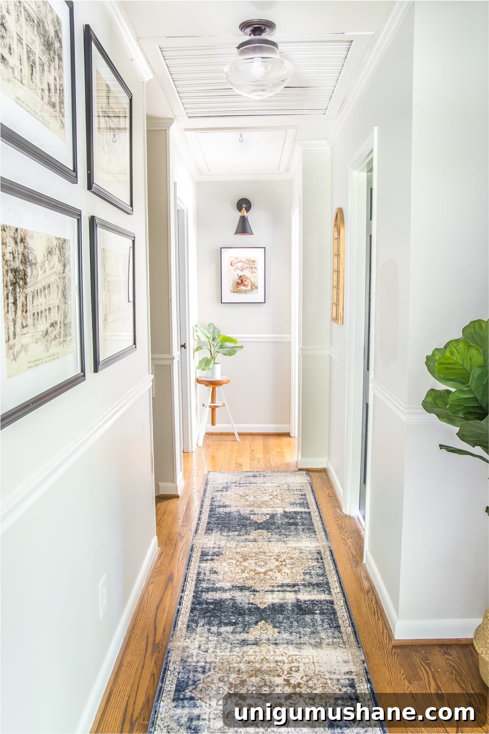 Transform Your Narrow Hallway with Stylish Decor 4 hallway decor ideas - light gray painted walls in narrow hallway with runner, wall decor, and plants