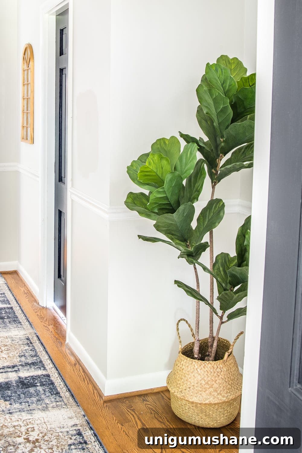 Transform Your Narrow Hallway with Stylish Decor 9 fiddle leaf fig tree