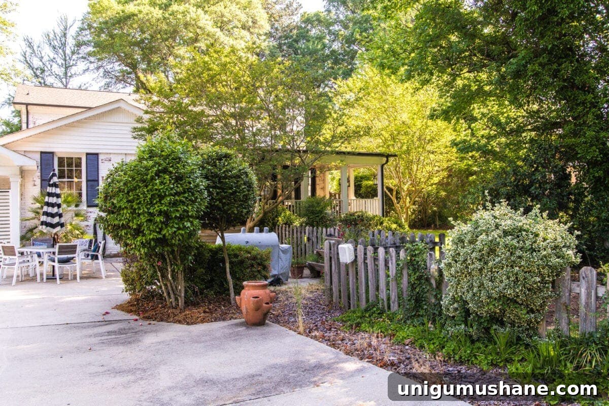 Backyard Before Photos and Pool Makeover Plans 13 Backyard Before Tour and Pool Makeover Plans | blesserhouse.com - Ways to improve a shabby backyard