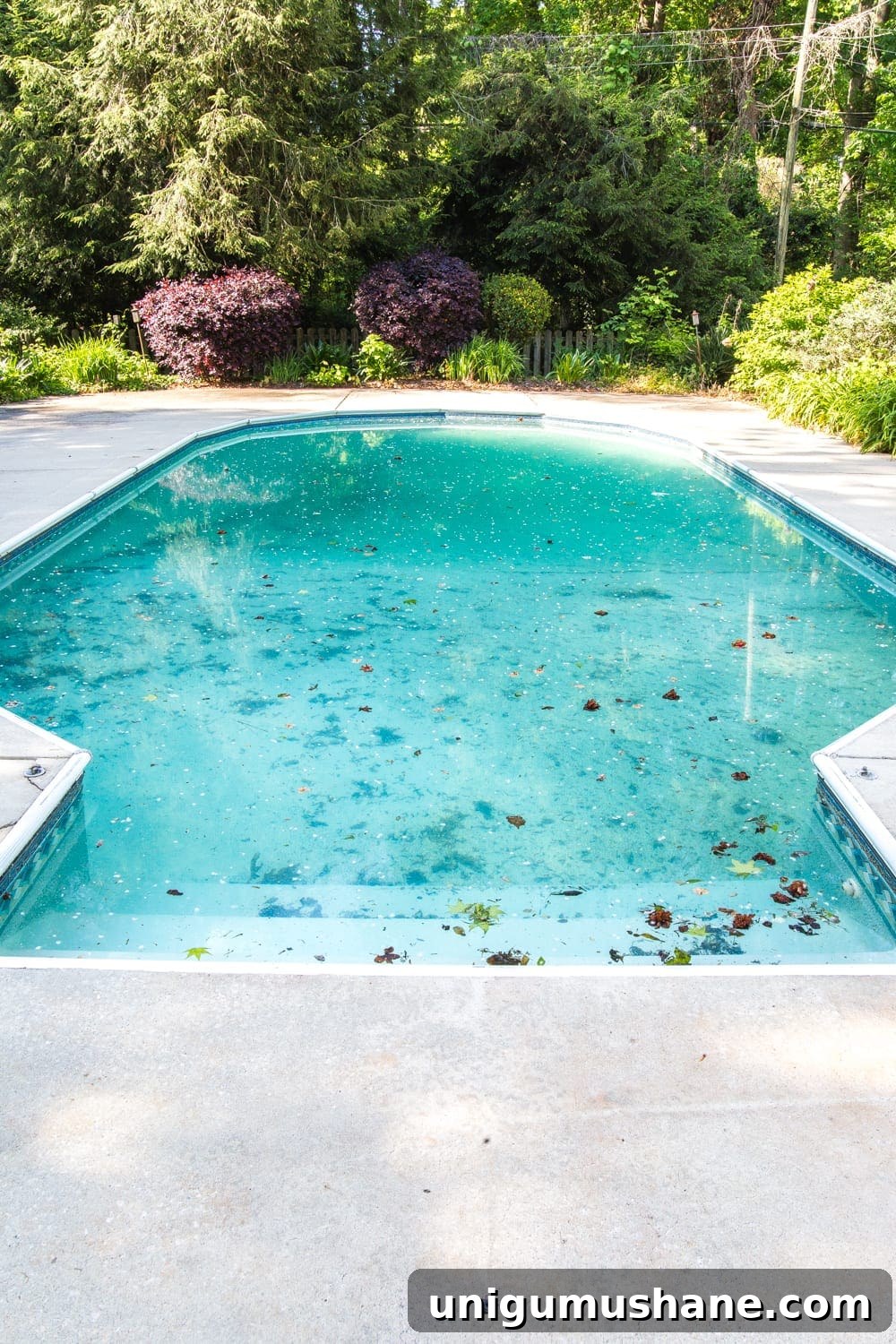 Backyard Before Photos and Pool Makeover Plans 4 Backyard Before Tour and Pool Makeover Plans | blesserhouse.com - How to improve an outdated vinyl liner pool