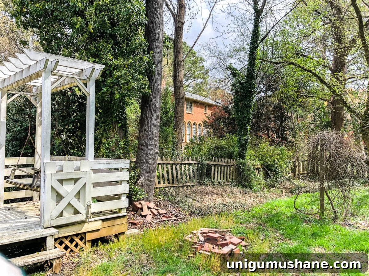Backyard Landscaping Transformation: Before and After Photos 3 A before and after of backyard landscaping progress after overgrown brush and tree removal to create room for functional outdoor play.
