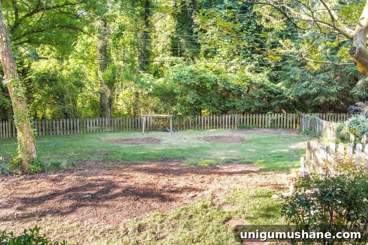 Backyard Landscaping Transformation: Before and After Photos 6 A before and after of backyard landscaping progress after overgrown brush and tree removal to create room for functional outdoor play.