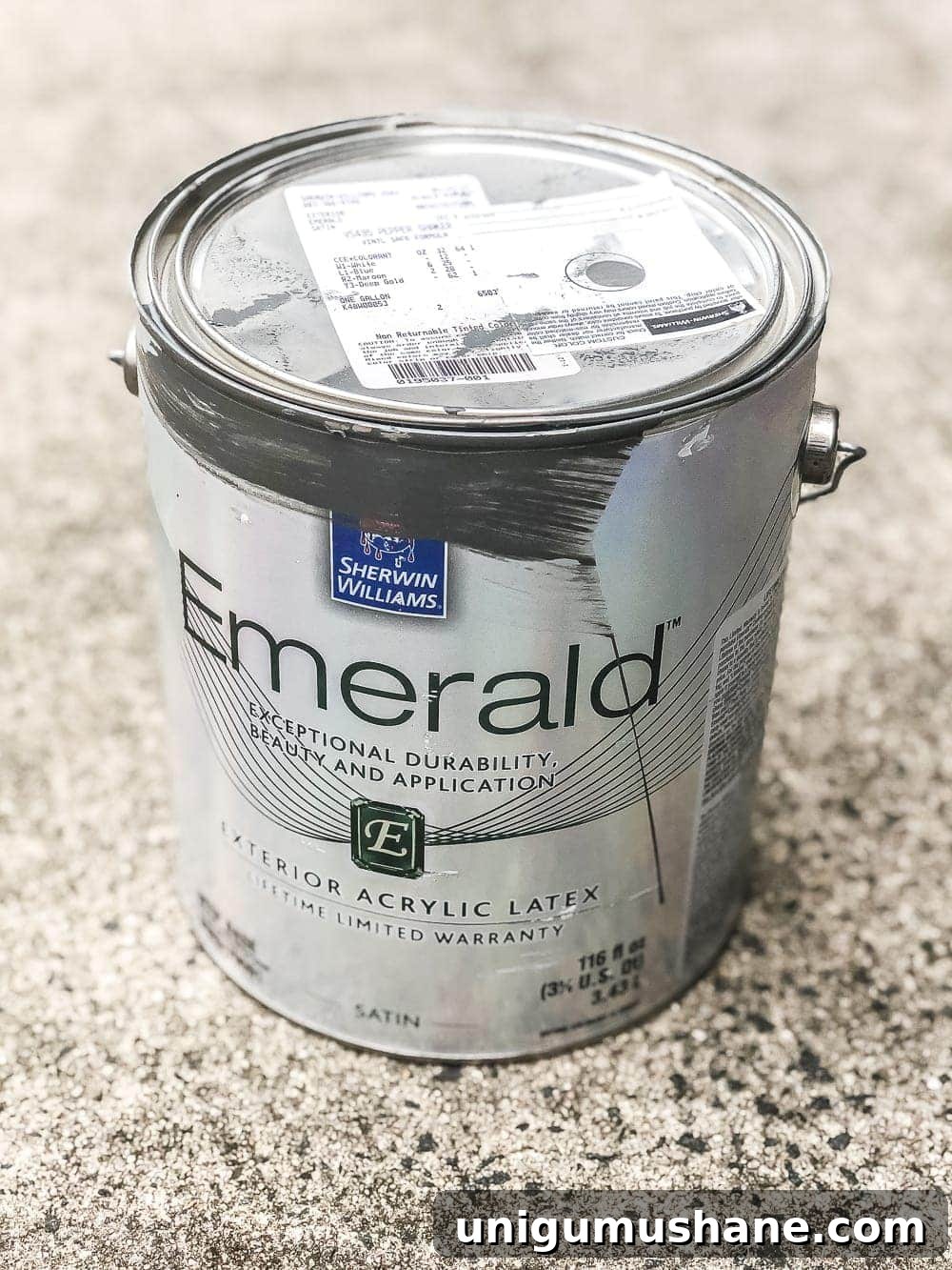 How to Paint Vinyl Siding and Transform Your Pool Shed 4 Sherwin Williams Pepper Shake