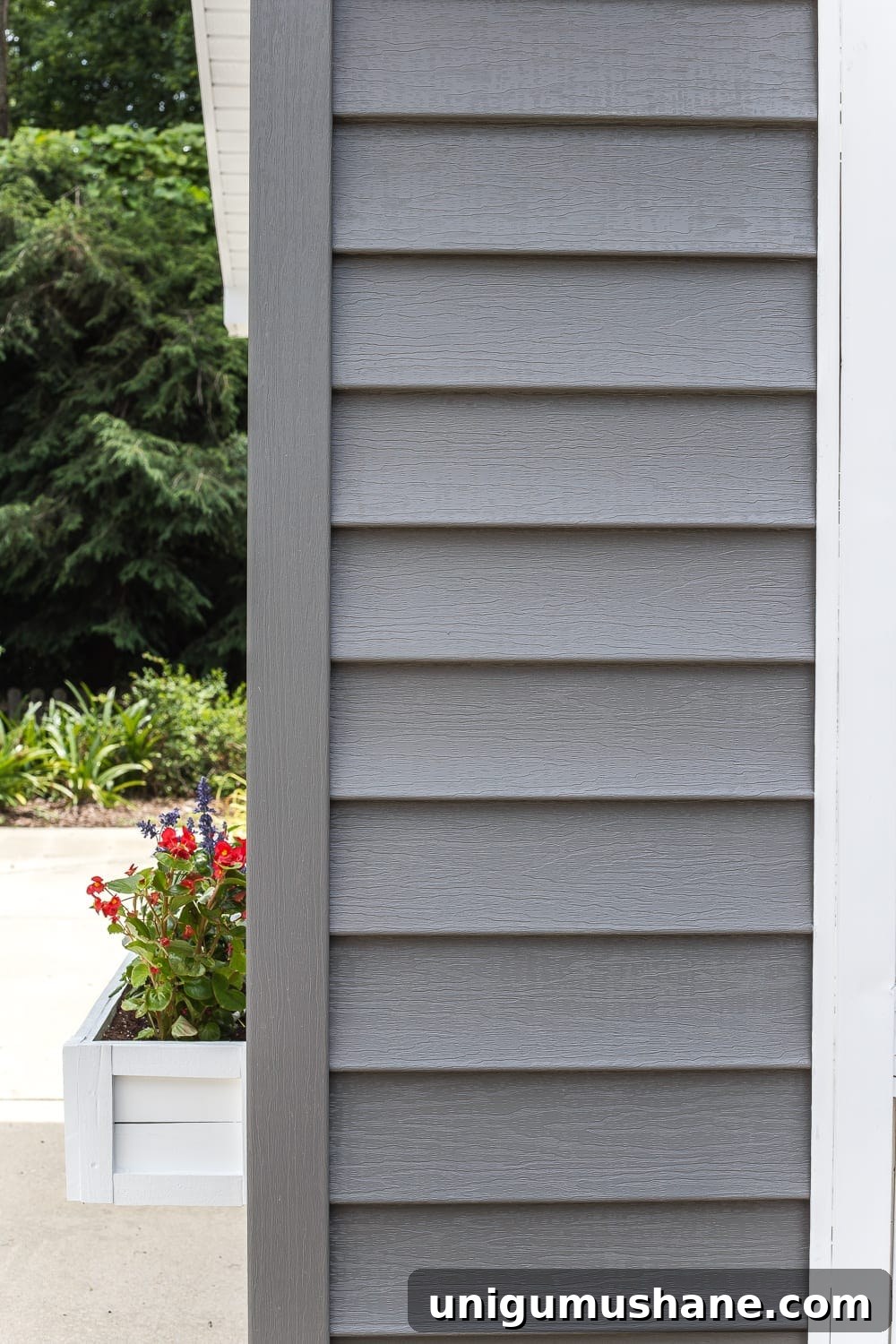 How to Paint Vinyl Siding and Transform Your Pool Shed 6 How to paint vinyl siding - Sherwin Williams Pepper Shake dark charcoal gray