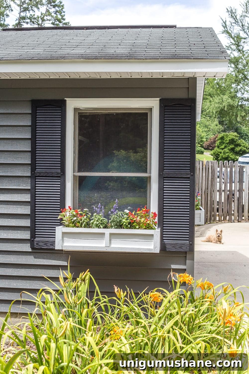 How to Paint Vinyl Siding and Transform Your Pool Shed 7 How to paint vinyl siding & DIY window box from scrap wood | Sherwin Williams Pepper Shake charcoal gray exterior