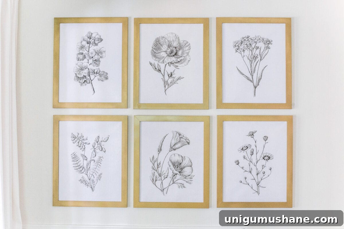 Modern Minimalist Botanical Printable Wall Art Pack 5 A free high resolution printable set of black and white modern minimalist botanical art and the best aged brass spray paint for frames.