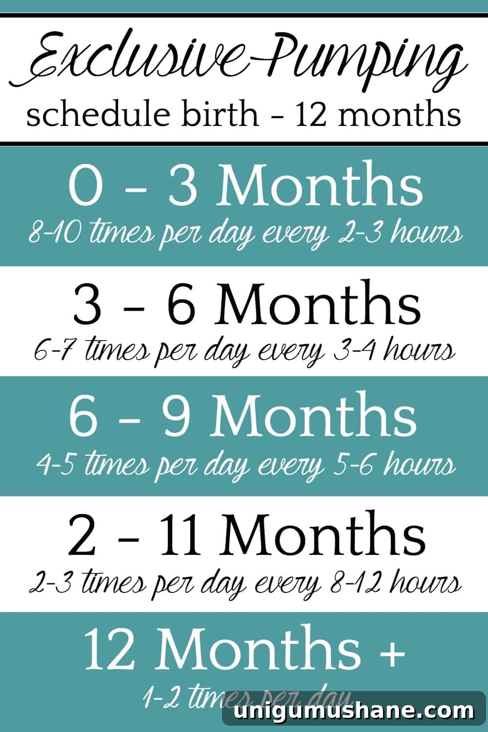 Exclusive Pumping Tips for Increasing Milk Supply 4 Exclusive Pumping Hacks Schedule