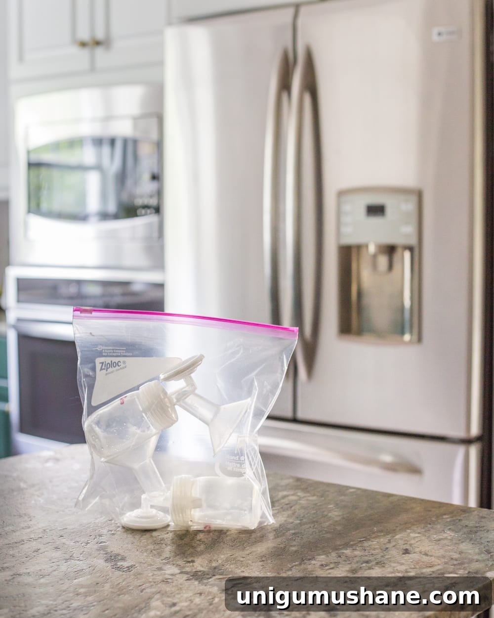 Exclusive Pumping Tips for Increasing Milk Supply 5 Exclusive Pumping Hack - Store pump parts in a bag in the fridge between uses to decrease time on washing.