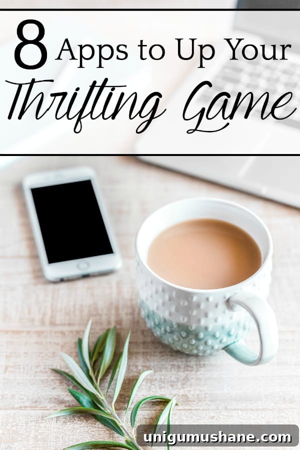 8 Apps for Smarter Thrift Shopping 7 8 Apps to Up Your Thrifting Game | A list of the best apps to browse secondhand items online as alternatives to Craigslist and Facebook Marketplace for finding thrifty deals.
