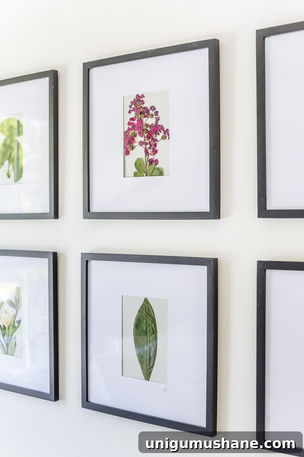 DIY Pressed Flower Art Projects for Home Decor 7 DIY Pressed Flower Art | How to press flowers and leaves from your own backyard to frame as inexpensive, vintage-inspired wall decor.