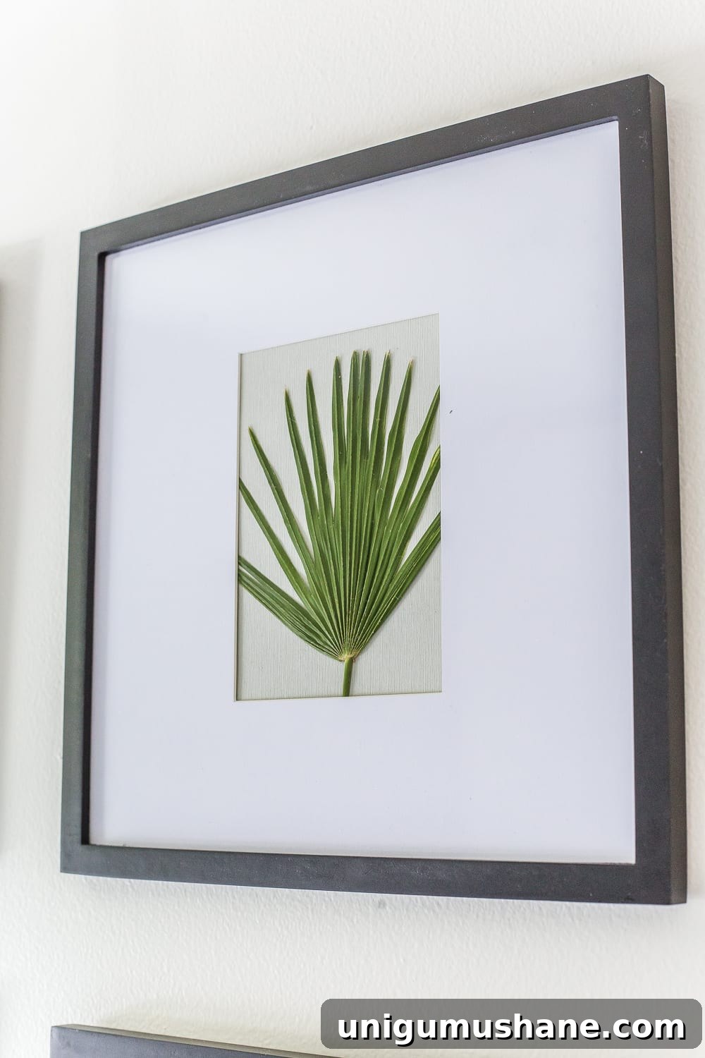 DIY Pressed Flower Art Projects for Home Decor 8 DIY Pressed Flower Art | How to press flowers and leaves from your own backyard to frame as inexpensive, vintage-inspired wall decor.