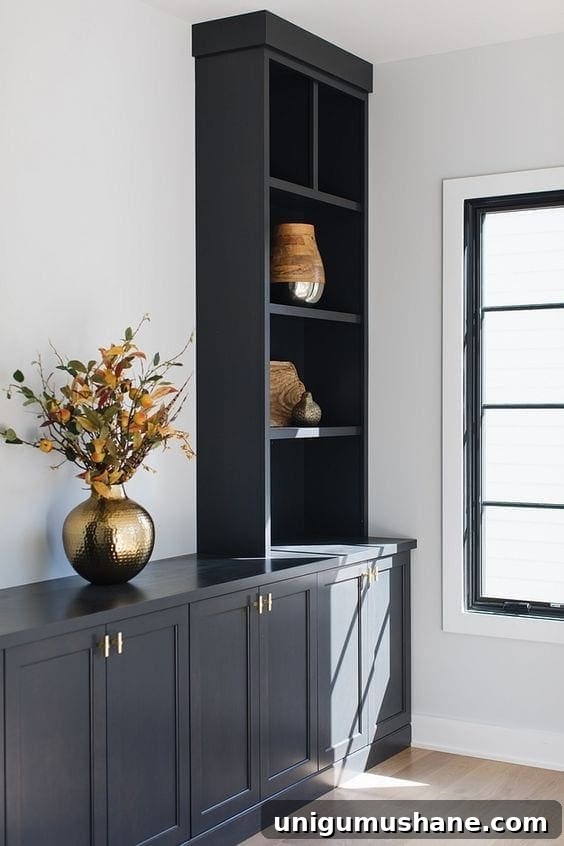 Black Paint Ideas for Dramatic Home Interiors 19 New construction with black exterior trim for contrast