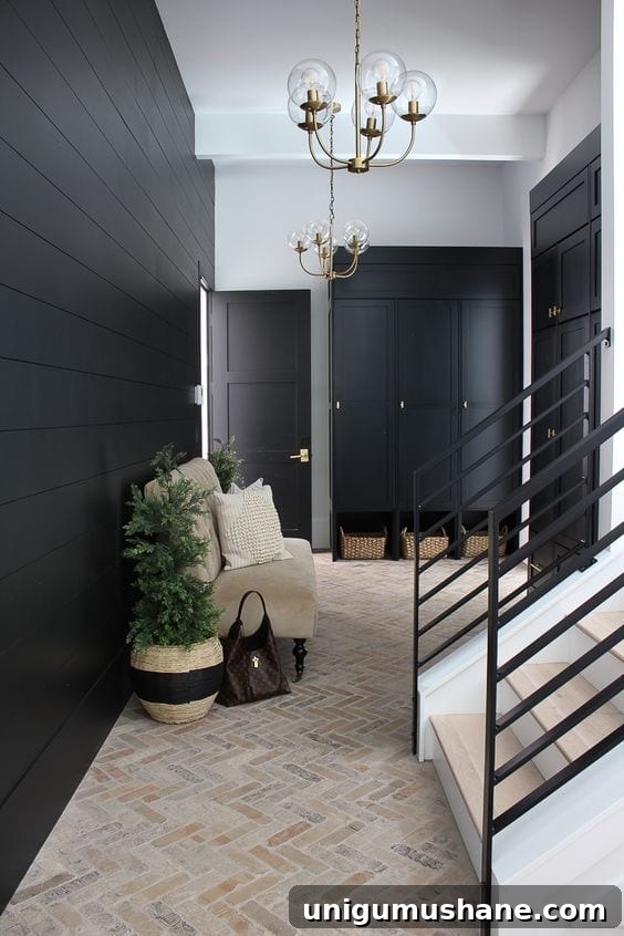 Black Paint Ideas for Dramatic Home Interiors 23 Black painted entrance with warm accents and plants