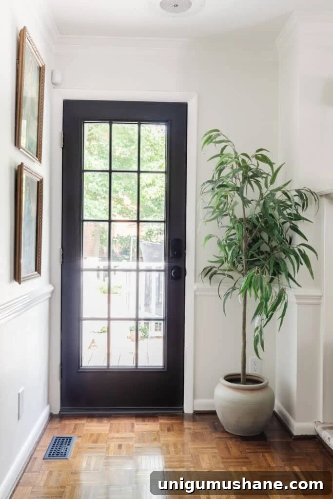 black french door with white walls