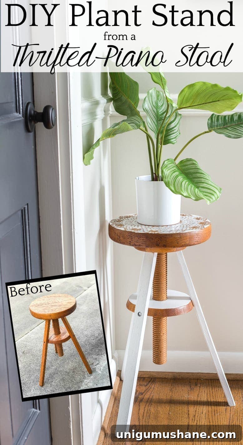 19 Most-Read Bless'er House Posts of 2019 9 img 35833 8