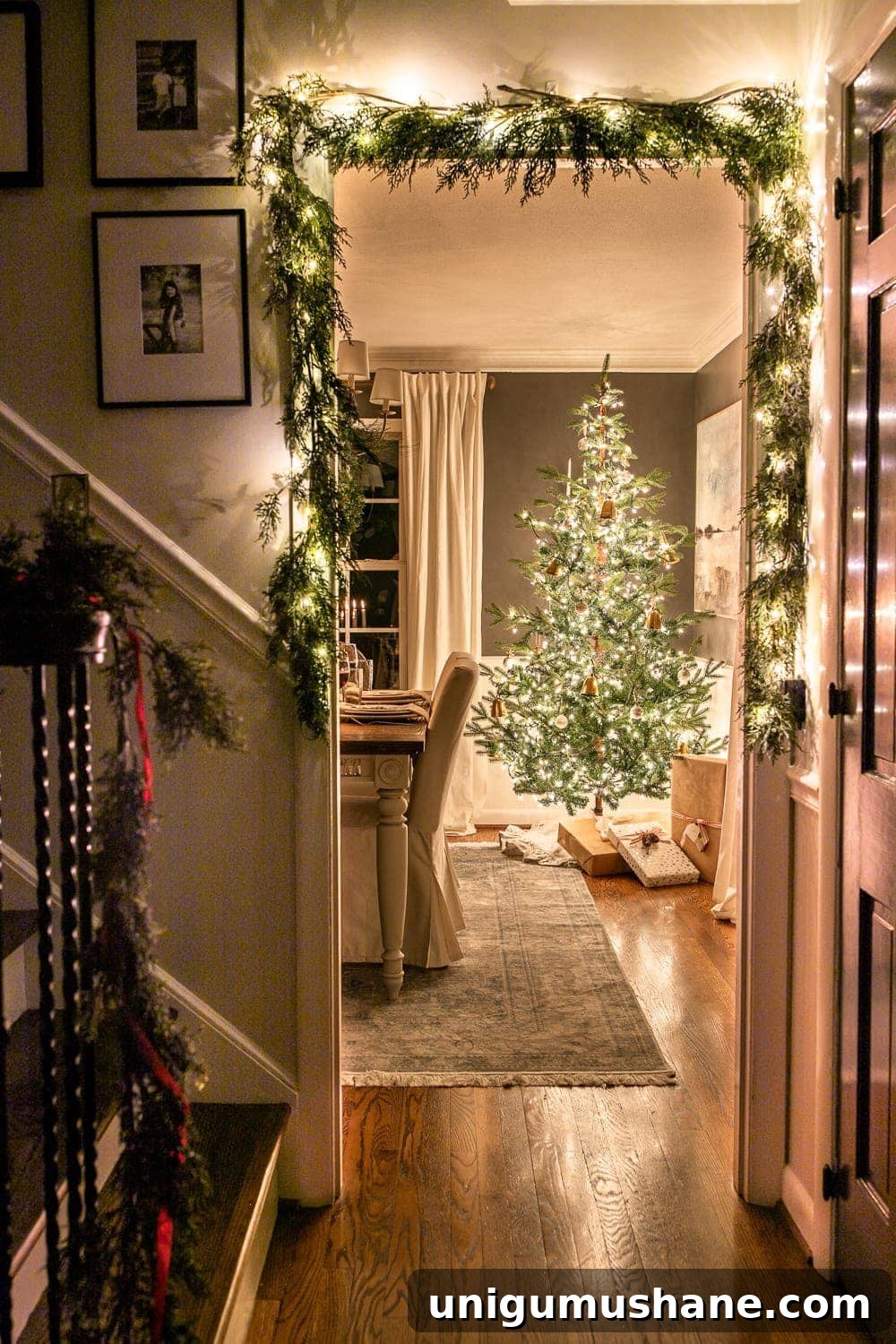 Christmas tree at night