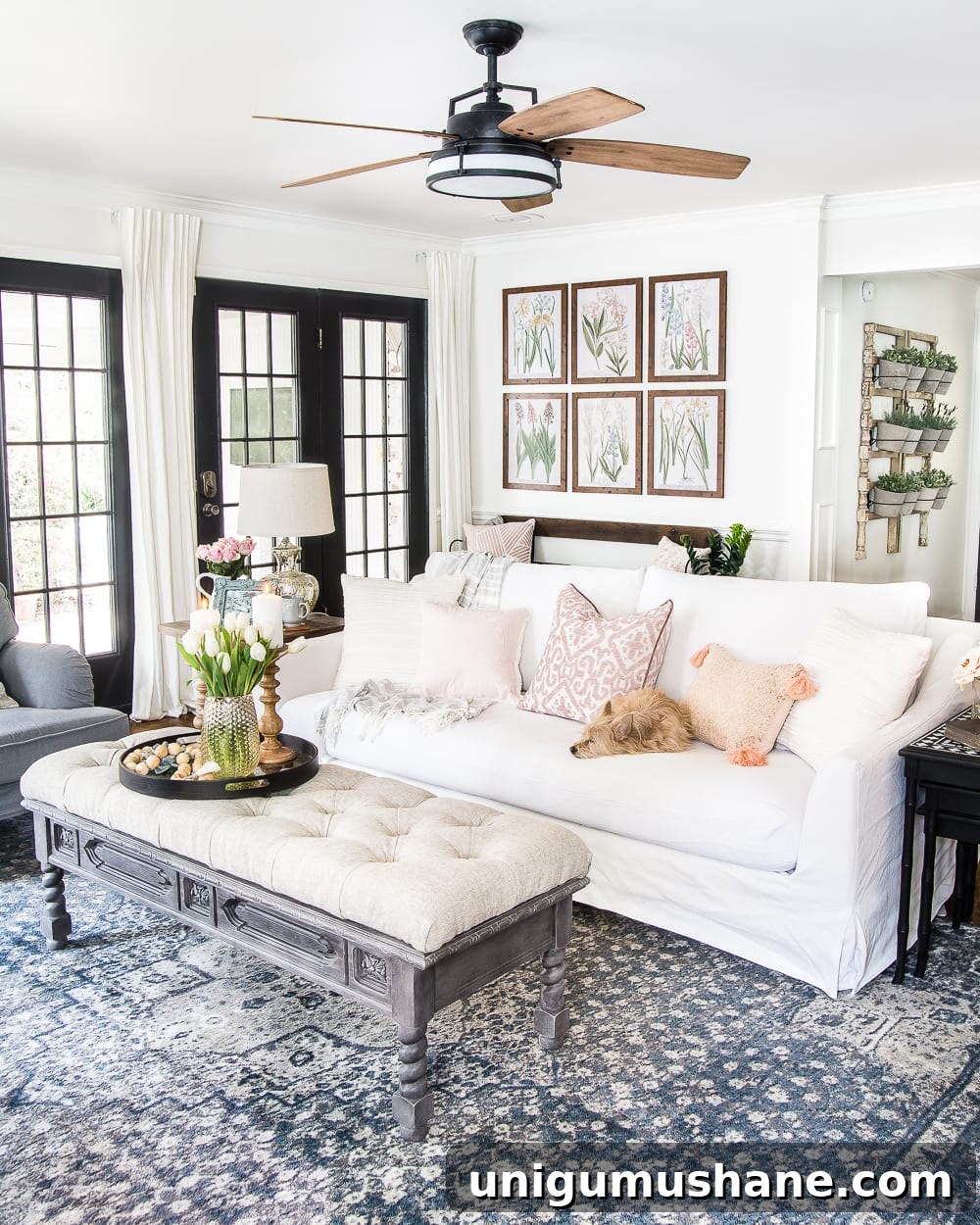 Most Popular Picks of 2019 10 img 36026 9