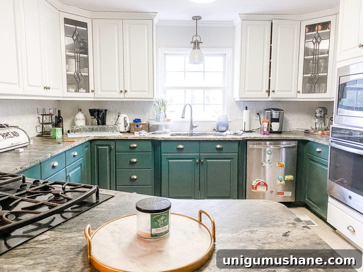 10 Stylish Ideas to Decorate Kitchen Countertops 2 kitchen countertop before
