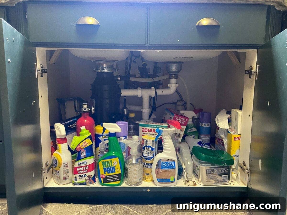 Kitchen Organization Makeover: Smart Storage and Declutter Tips 27 Kitchen Organization Makeover | Under Sink Cabinet Before