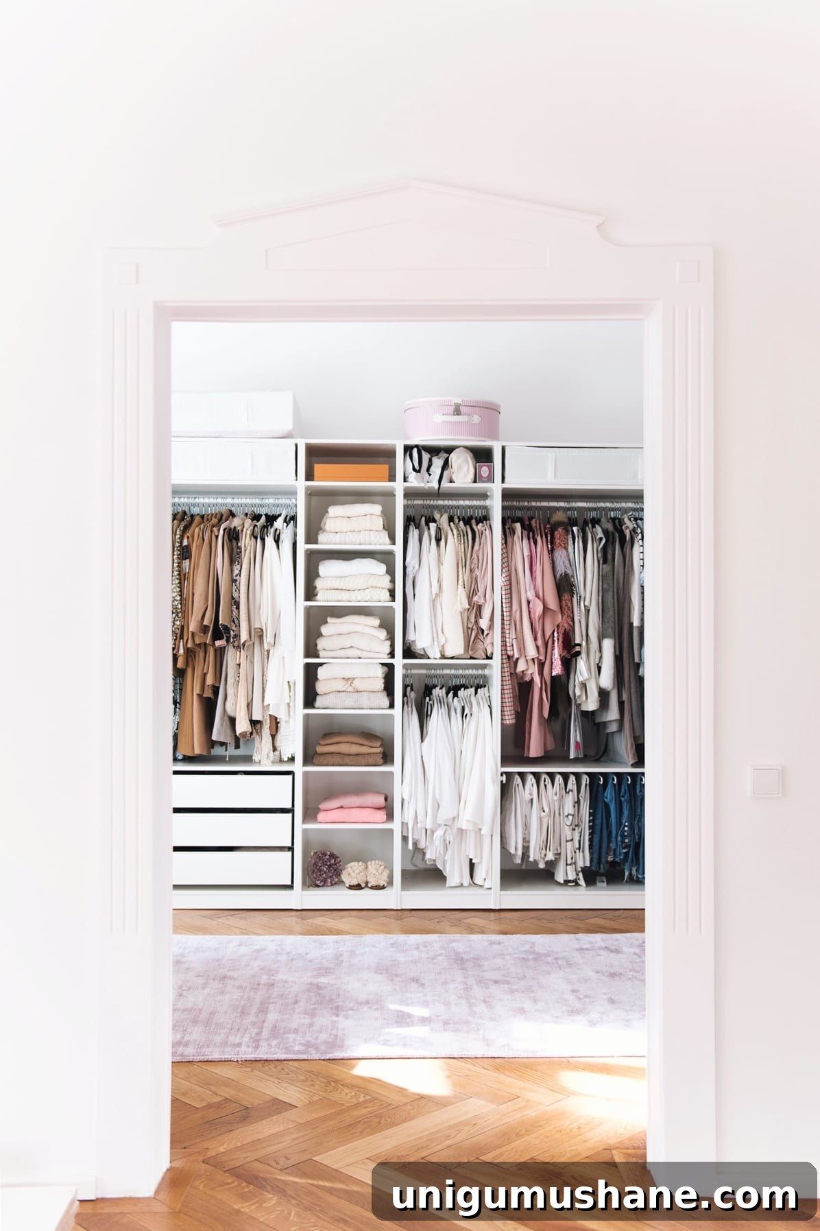 IKEA PAX Closet with herringbone wood floors and encasement