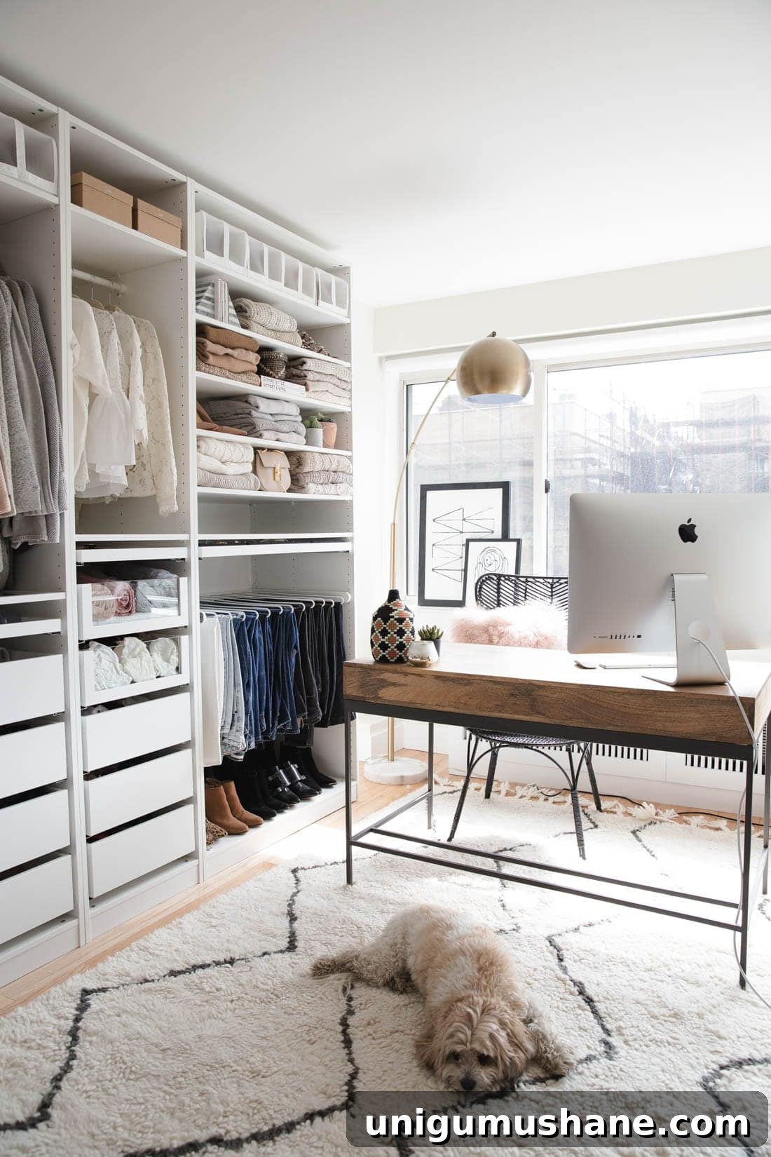 neutral IKEA PAX Closet with shag rug and office desk