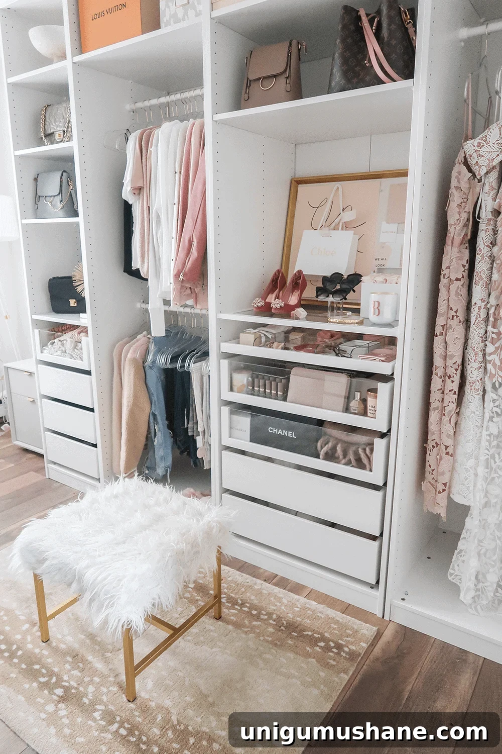 IKEA PAX Closet with clear drawer fronts and dividers for accessories