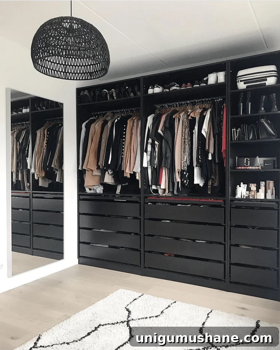 black built in bedroom closet