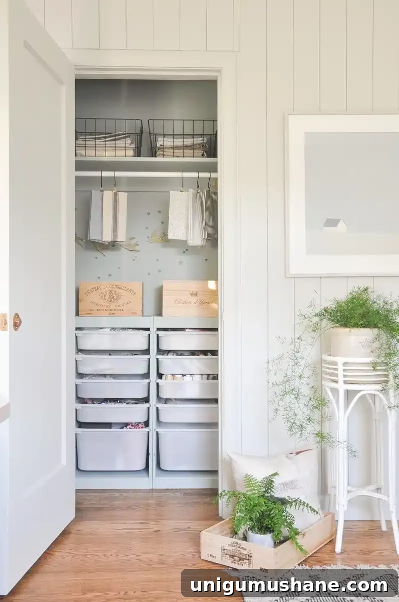 IKEA closet in a home office for craft supply storage