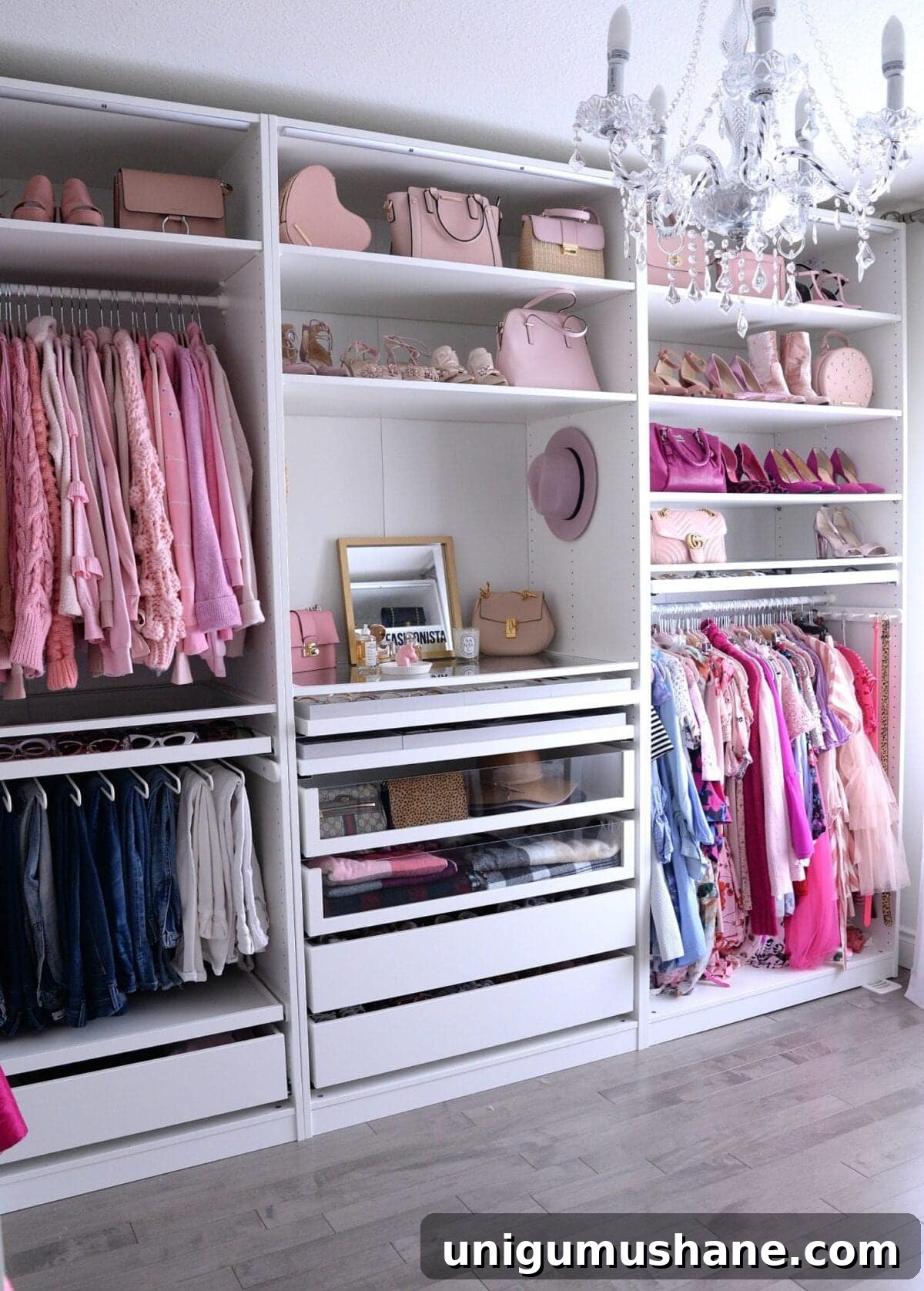 IKEA PAX Closet with pink accessories niche