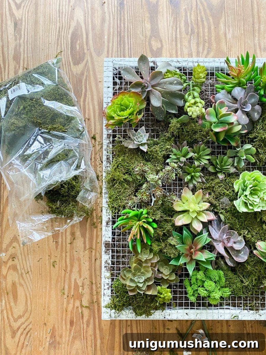Build a Vertical Wall Planter from Reclaimed Wood 11 DIY Vertical Wall Planter | Planting succulents