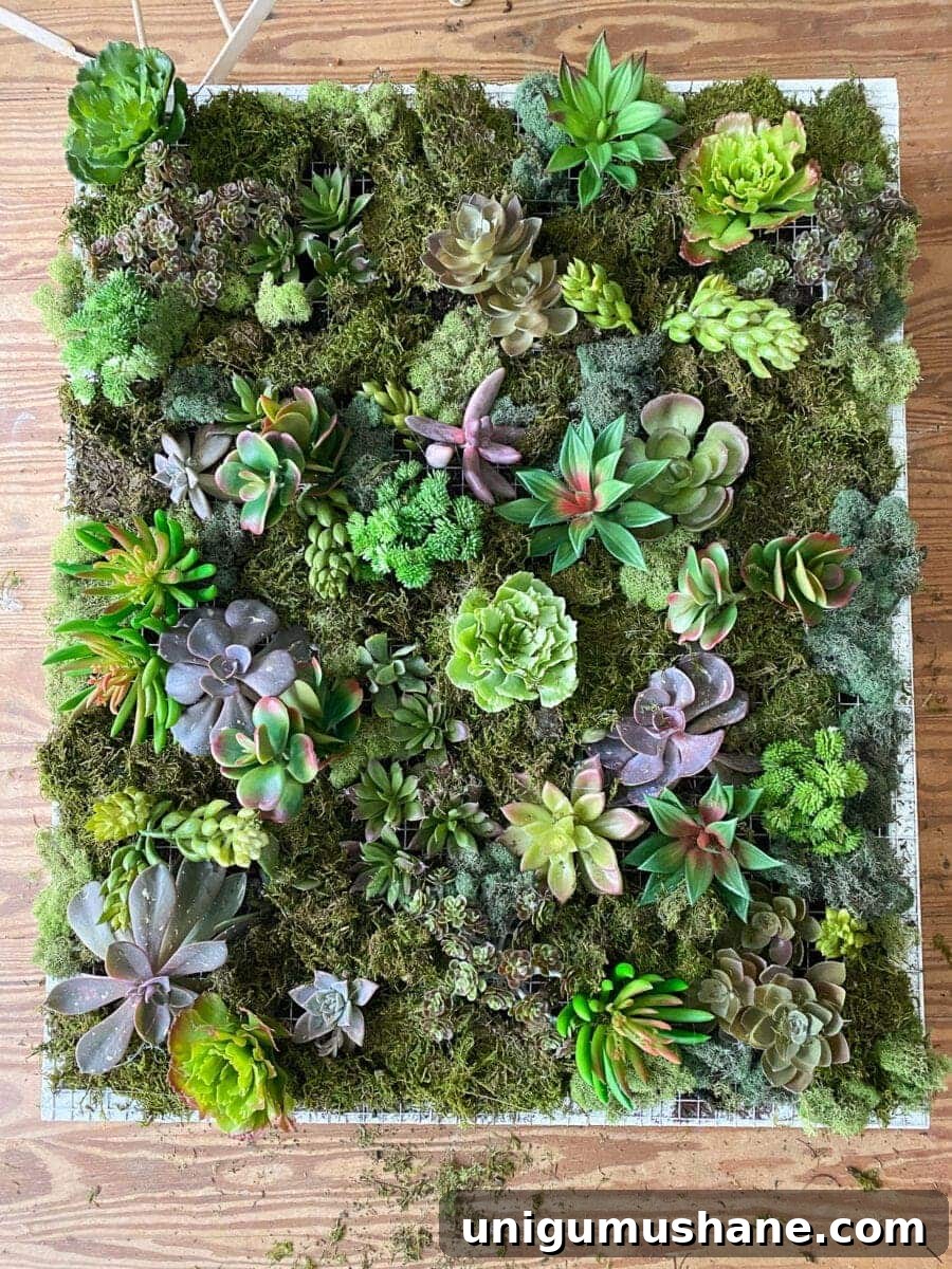 Build a Vertical Wall Planter from Reclaimed Wood 12 DIY Vertical Wall Planter | Finished with moss