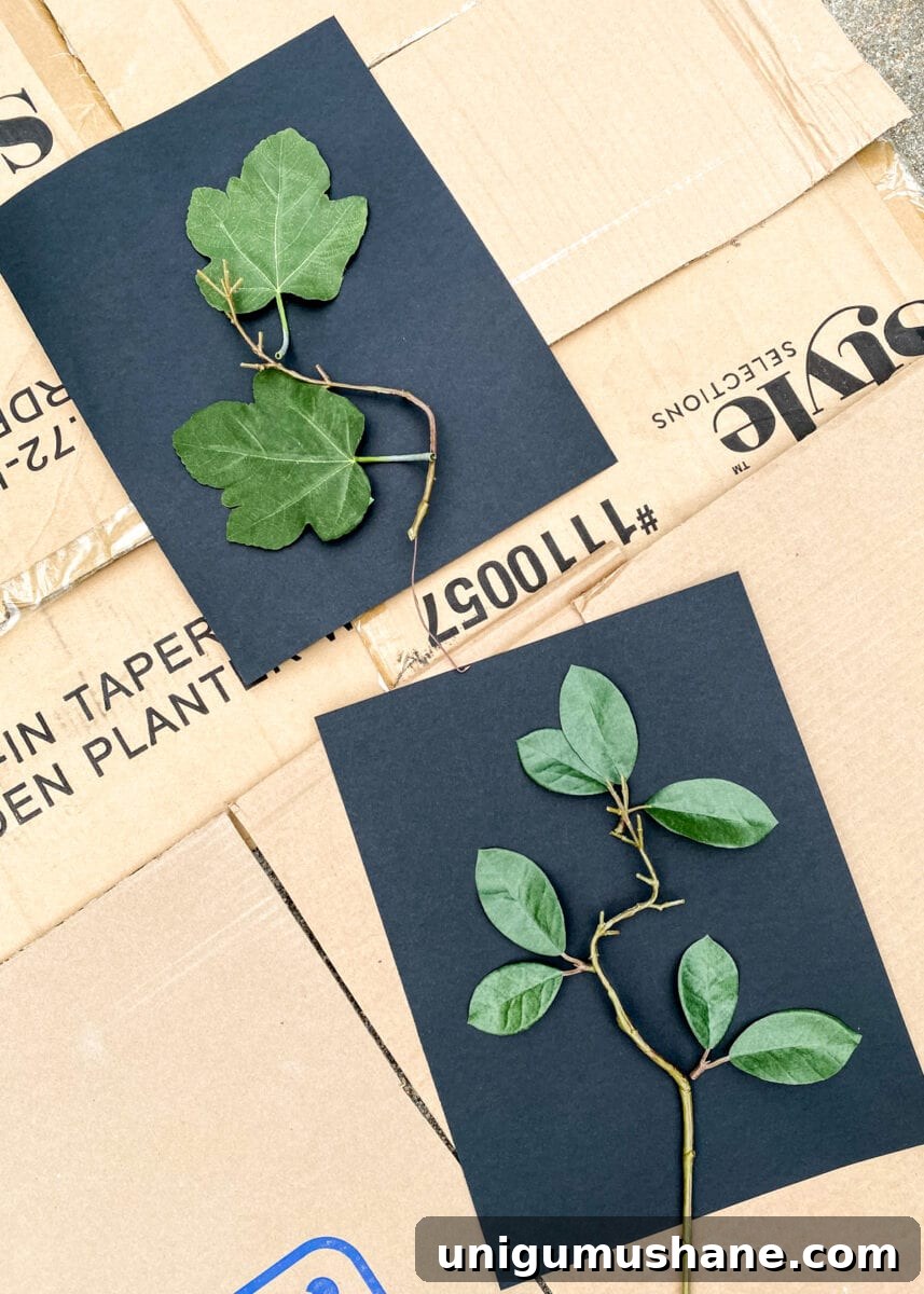 How to Create Silhouette Leaf Art with Paint 5 DIY leaf art using leaves and spray paint